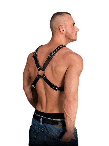 Ouch! Adonis High Halter Harness
