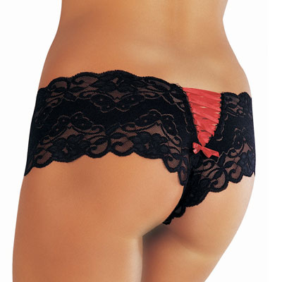 Classified Lace Back Briefs